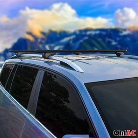 Raised Roof Rails