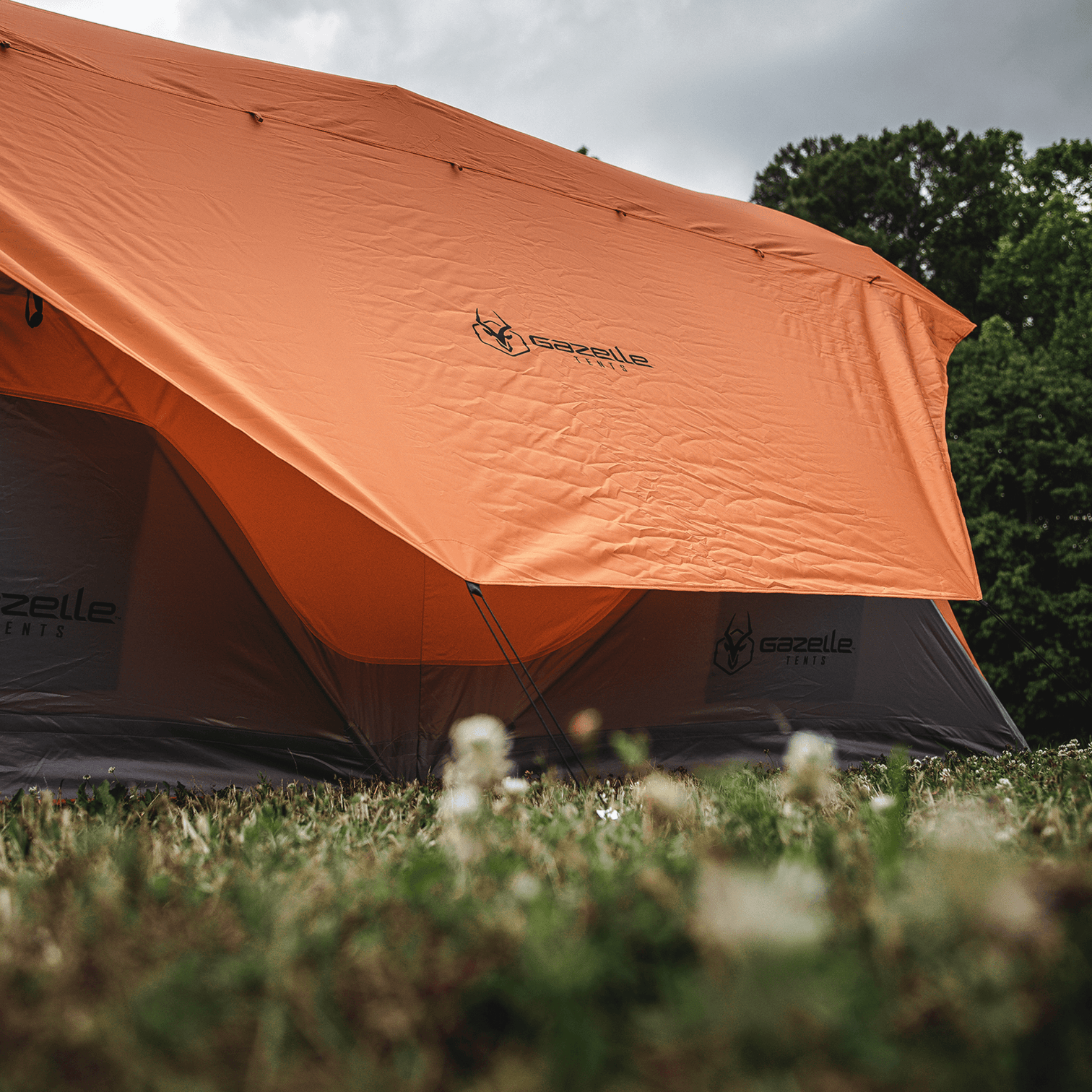 Gazelle Tent