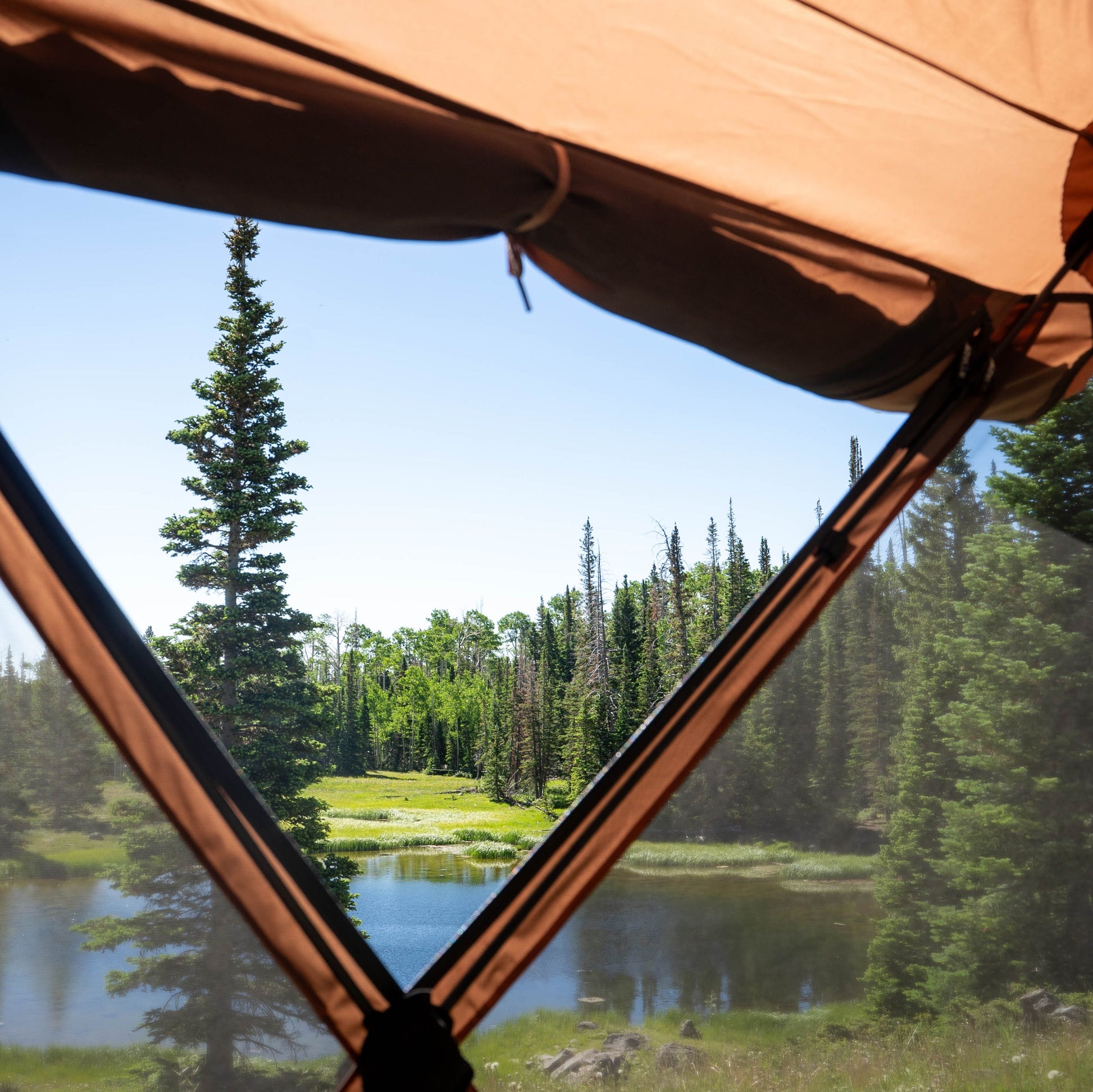 Gazelle G6 Portable Gazebo