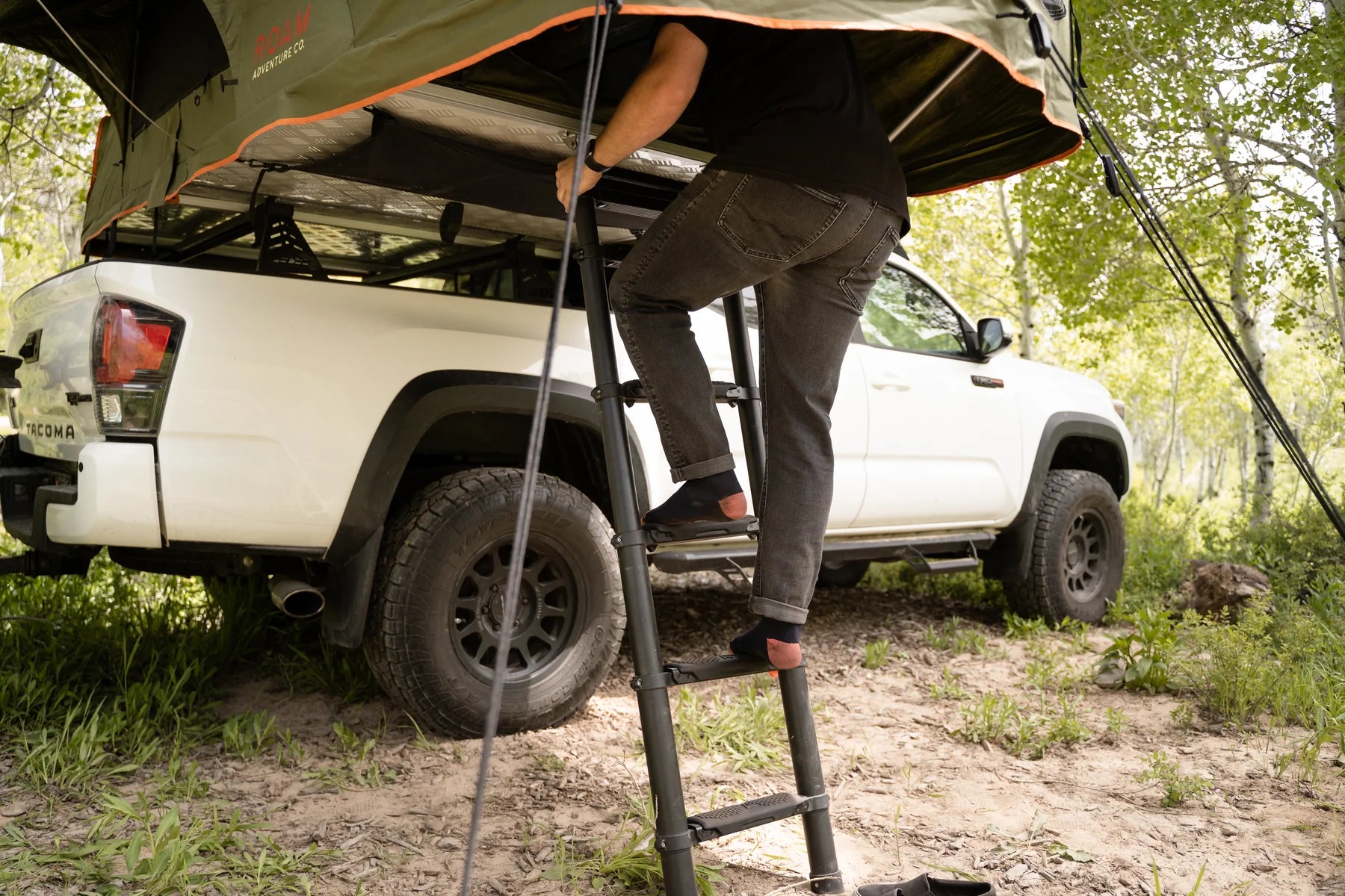 Roam Ladder Soft Steps